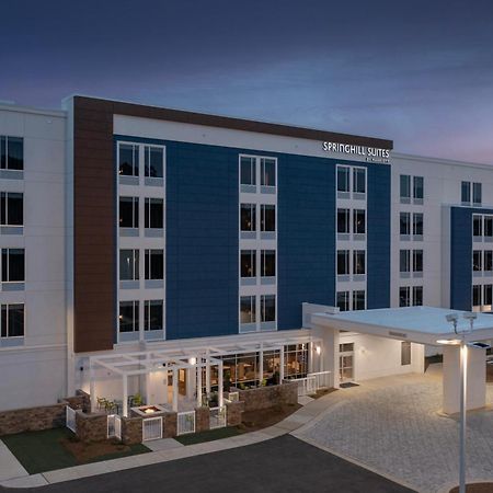 Springhill Suites By Marriott Fayetteville I-95 Екстер'єр фото